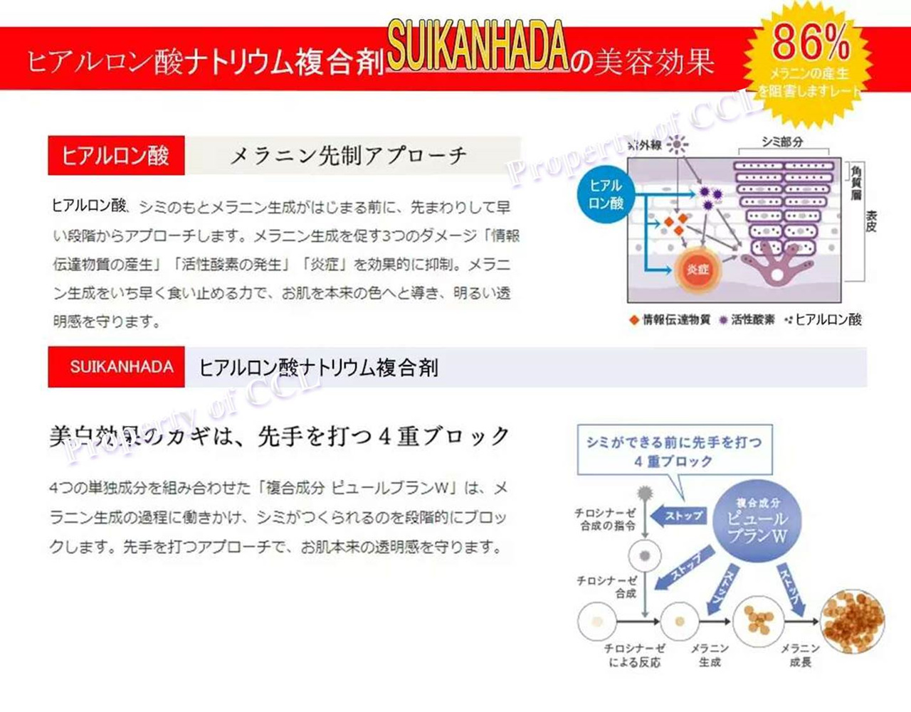 Oea coupons